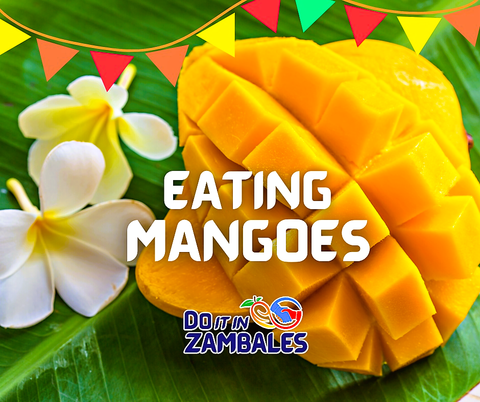 Zambales Prepares For Biggest Mango Festival Yet Punto Central Luzon