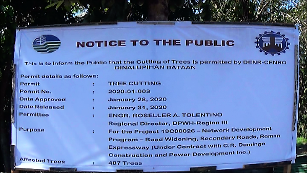 5,000 trees endangered DENR greenlights tree-cutting along Bataan