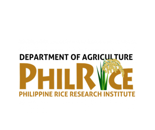 PhilRice: RCEF Seed Program Unhampered Amid Covid-19 - Punto! Central Luzon