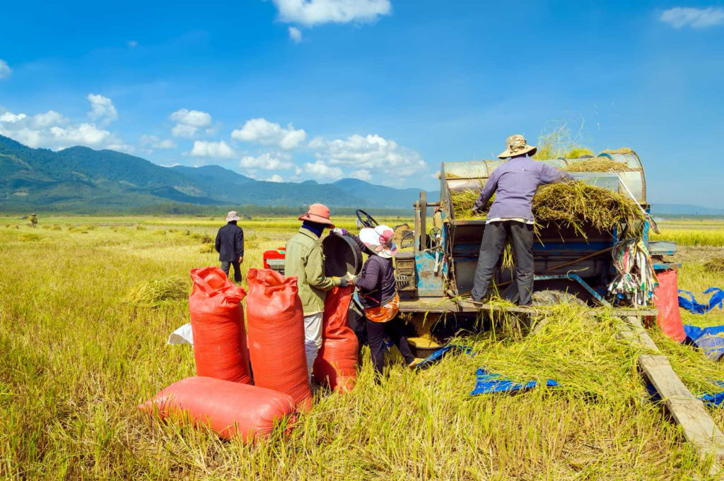 LANDBANK caps off 2023 with P755.1-B support to agri, rural dev’t ...