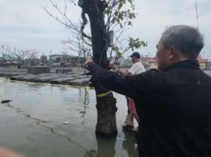 Higher floodwaters in cemeteries expected due to high tide