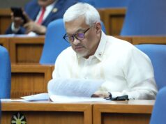 Cong pogi takes green advocacy to House special committee on reforestation