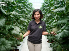 From Soil to Soul: Meet Nueva Ecija’s Guardians of Green Progress