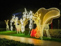 Filinvest Mimosa Plus Celebrates a Magical Christmas at its New Park
