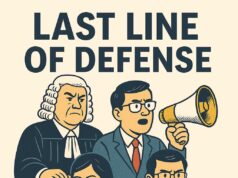 Institutional trust and the last line of defense