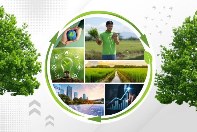 Sustainability Bonds Image 600 x 400 px