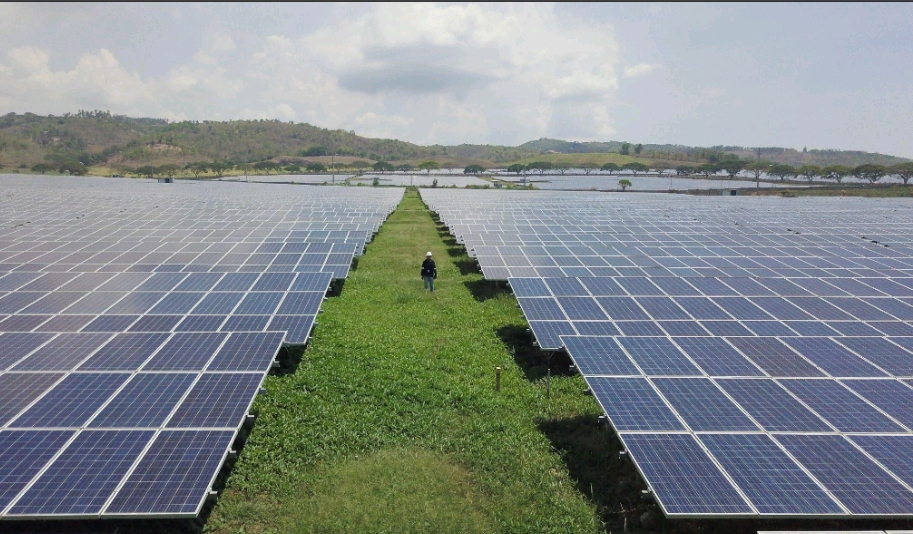 Why solar farms keep grass growing: safeguarding communities, waterways
