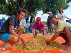 DA-SAAD trains Nueva Ecija farmers on fermented corn cob as alternative livestock feed