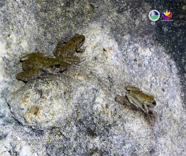 received_1343040234428347