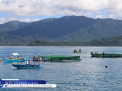 BFAR strengthens fisherfolk livelihood in Aurora town with P8-M equipment aid