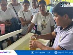 DOST trains 4Ps beneficiaries in Nueva Ecija on climate-smart food production technologies