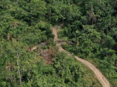 PBBM’s agri modernization drive to improve market access in Aurora’s remote communities