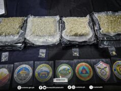 P10.5-M marijuana resin, kush seized in Clark