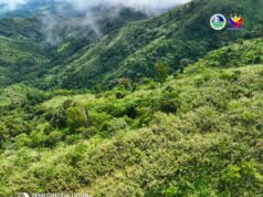 DENR partners with private groups to restore, protect forestlands in Tarlac