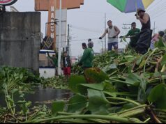 Residents clear creek of water hyacinths to ease flooding