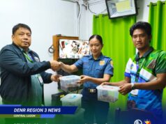 DENR, PNP Maritime Group rescue 4 exotic tarantulas