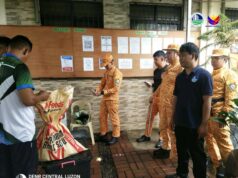 Rescued monkey, 2 cobras returned to the wild