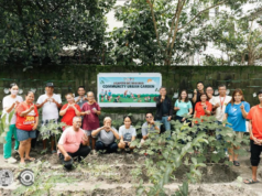 Gulayan sa Barangay: Hydroponics, seedling planting, paggawa ng organic fertilizer itinuturo sa Angeleño
