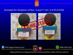 P120-K marijuana seized, 2 nabbed in AC buy-bust