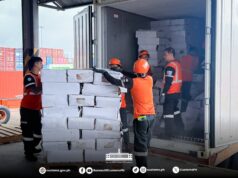 BOC-Subic busts P6.7-M chicken shipment declared as tofu
