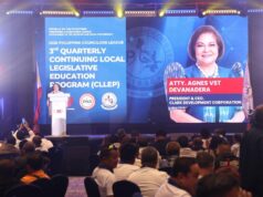 Clark chief pushes digitalization to future-proof local governance